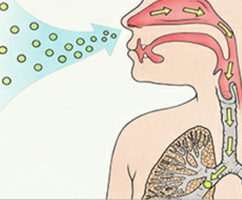 Encouraging you to read this journal for your health on Near a River.