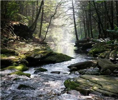 Encouraging you o not give up on difficult roads of life on near a river.